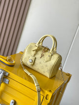 Mini bauletto LV